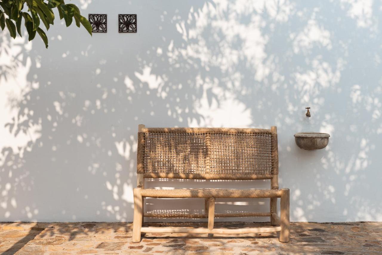 The Green House Alentejo Vila Nova da Baronia エクステリア 写真