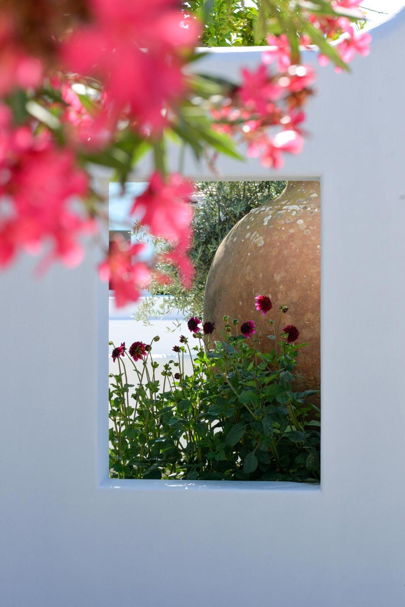 The Green House Alentejo Vila Nova da Baronia エクステリア 写真